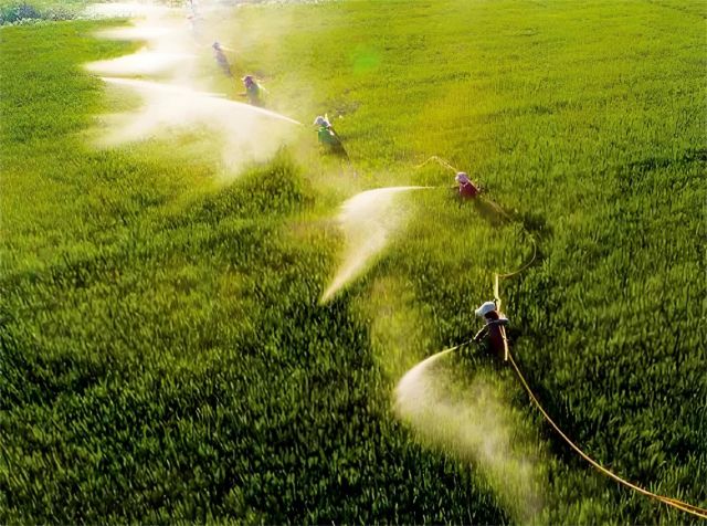 Agrochemical industry